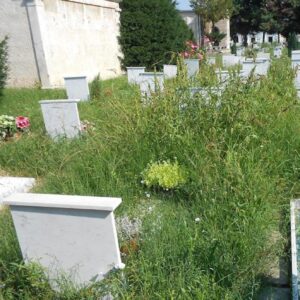 Taglio dell’erba: arrivano fondi da una variazione di bilancio