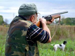 Nell’anno della pandemia, caccia e lavoro tra gli argomenti più cliccati