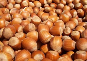 Nocciola, prezzi in calo in provincia