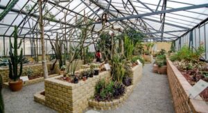 Alessandria celebra lo Yoga Day al Giardino botanico ‘Dina Bellotti’