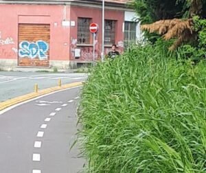 Aree verdi: al via il nuovo appalto