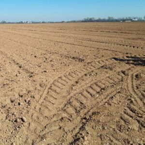 Arriva il sole: in campagna corsa per salvare le semine primaverili