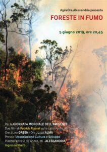 “Foreste in fumo”: quali sono le cause della distruzione delle foreste?