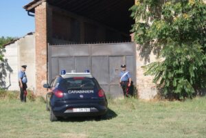 Scoperto canile abusivo, denunciato allevatore