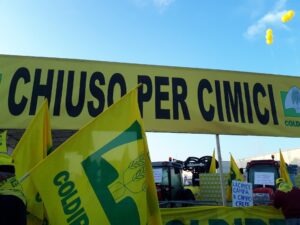 Cimice killer, Coldiretti: “Subito misure di prevenzione”