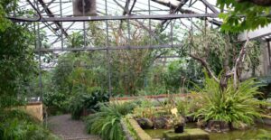 Il Giardino Botanico Comunale riapre lunedì 6 luglio