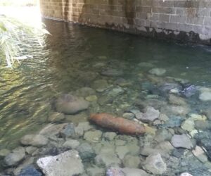 Campo Ligure: per la rimozione dell’ordigno bellico chiudono l’A26 e l’Acqui-Genova