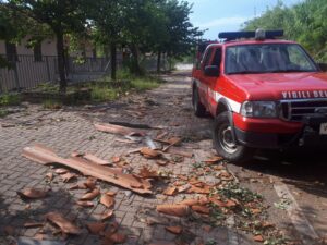 Gabusi ad Alessandria. Dal verde alle reti fognarie: è cominciata la conta dei danni