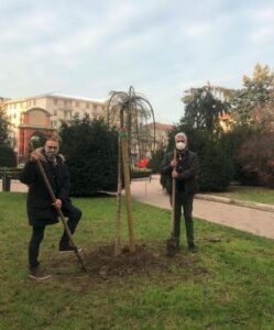 “Pianta un albero”: si può segnalare dove si vuole mettere