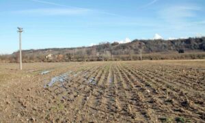 Confagricoltura, con la siccità aumentano le irrigazioni