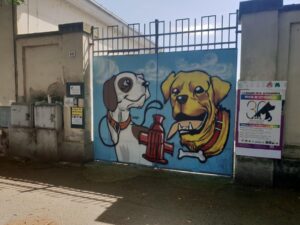 Emergenza abbandoni: 14 cuccioli cercano casa