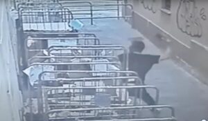 Alessandria: aggressione a bottigliate,  preso e denunciato