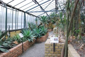 Alessandria, al Giardino Botanico l’incontro “Tre scrittori in Comune”