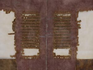 Il Codice Purpureo di Sarezzano analizzato dagli studenti