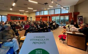 Uve e vini di qualità, nonostante la siccità