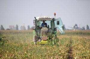 Ventisei milioni di euro all’agricoltura piemontese