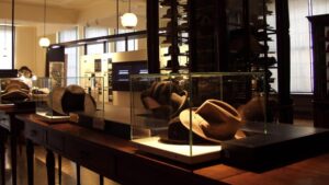 Borsalino Museum, inaugurazione il 4 aprile