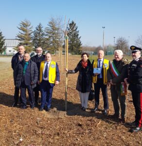 ‘Bosco Diffuso Lions’: piantati 9 alberi di gelso a Bosco Marengo