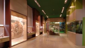 Alessandria: una domenica tra Teatro delle Scienze e Sale d’Arte