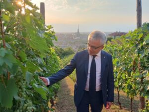 Regione, 8,7 milioni per 400 aziende e 5 consorzi del vino