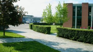 Cse Fnilt: “Precarie condizioni igienico-sanitarie in Amag Ambiente”