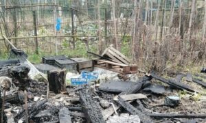 Nuovi atti vandalici agli orti di Forte Acqui: “Diamo fastidio?”