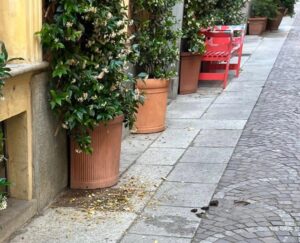 Via Bissati, i commercianti puliscono (ancora) i resti delle notti brave