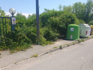 Piante e topi, così i cassonetti “spariscono”