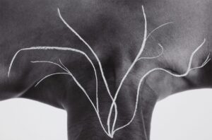 La Giornata del Contemporaneo approda allo Studio 55