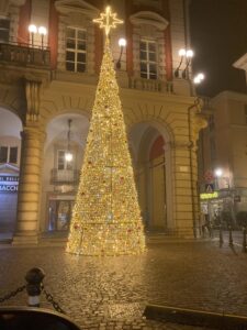 Alessandria accende il Natale. E il ‘suo’ albero