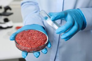 ‘Carne coltivata’: stop in Europa?