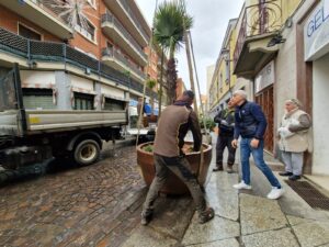 Arrivate le palme in via San Lorenzo. Grazie a “La città nostra”