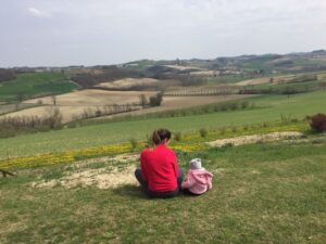 Fotovoltaico sui campi di Alfiano Natta: mobilitazione per il no