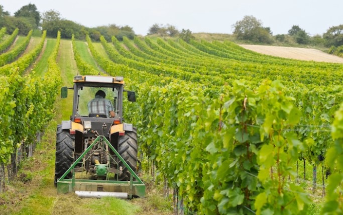 Il rilancio dell’Alta Valle Bormida attraverso il “non bosco”