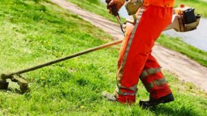 Alessandria, verde pubblico: sfalci e manutenzioni, gli interventi fino al 26 giugno