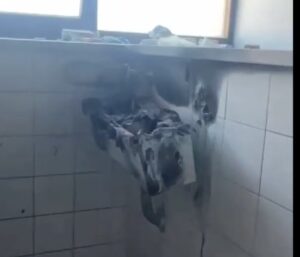 Alessandria, in fiamme i bagni dell’Istituto tecnico Volta