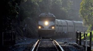 Frugarolo: treno investe pecore, circolazione sospesa