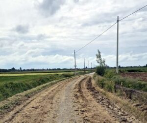 Quargnento, strada invasa dal fango (dei trattori)