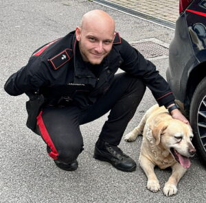 Alessandria, i Carabinieri ritrovano Harley, il Labrador scomparso