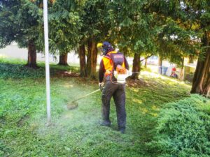 Alessandria: manutenzione verde pubblico, ecco dove s’interverrà
