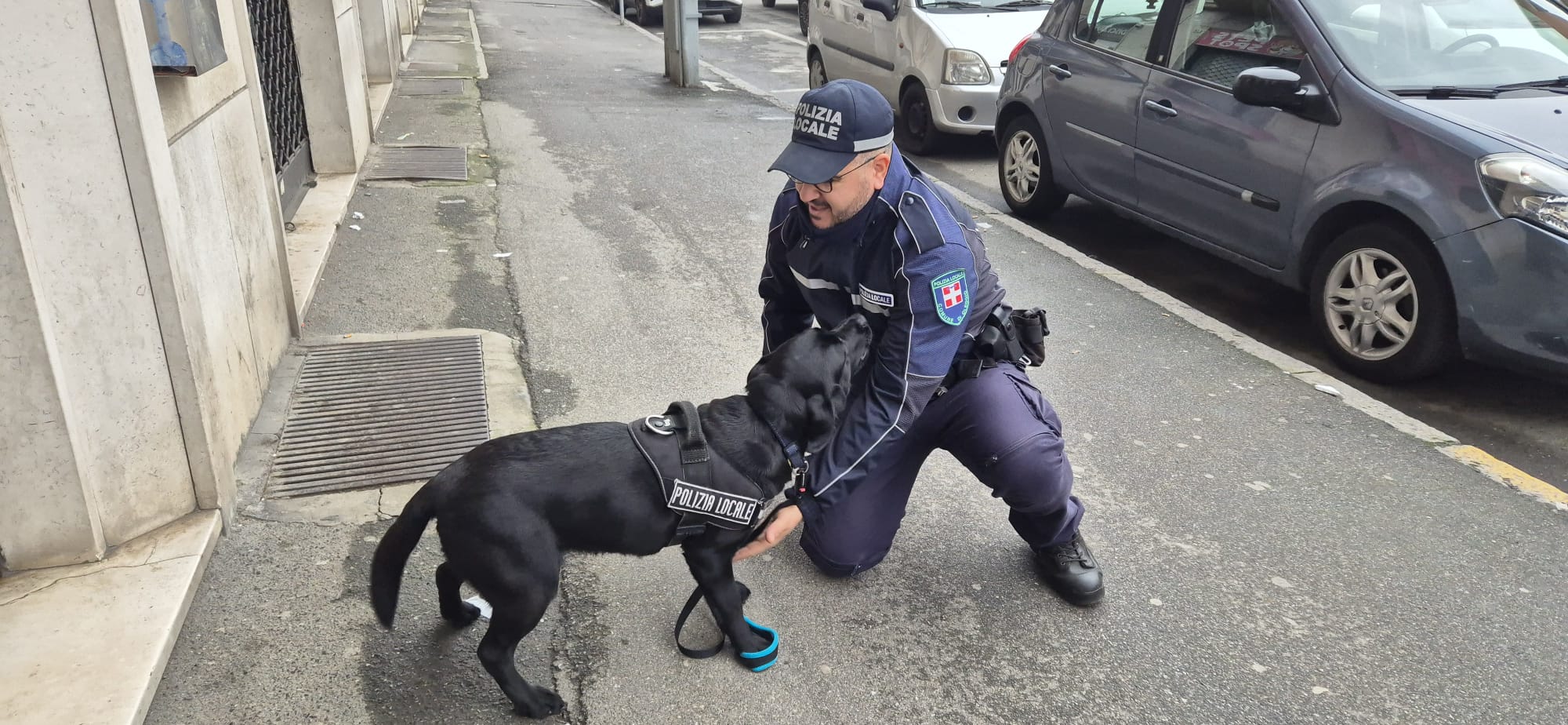 Alessandria: Carabinieri e Municipale in campo per una maxi attività di controllo del territorio