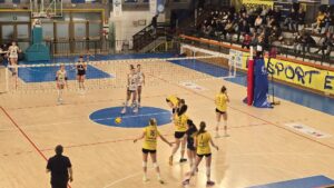 Acrobatica si fa male, Fenera Chieri ringrazia