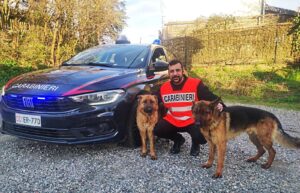 Pietra Marazzi: pastori tedeschi smarriti ritrovati dai Carabinieri