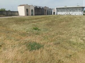 Cimiteri, il sindaco Abonante: “Entro metà maggio completato il taglio dell’erba. Si torni alla normalità”