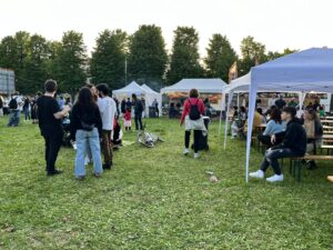 StrAlessandria: stamattina si corre