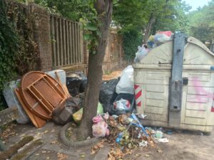 Ambiente, agenda online per gli appuntamenti: nuovo servizio del Comune di Alessandria