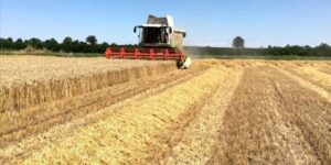 Coldiretti Alessandria in piazza a Strasburgo: mobilitazione per salvare l’agricoltura europea