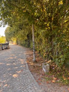 Passeggiata Sisto e Lungo Tanaro San Martino: gravi criticità segnalate