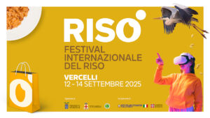 L’oro bianco accende Vercelli:  in arrivo Risò – Festival Internazionale del Riso