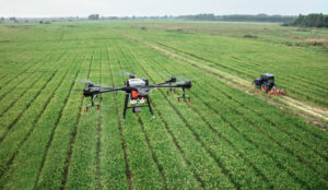 Grano, resa e resilienza: la ricerca cambia le strategie